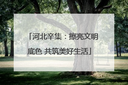 河北辛集：擦亮文明底色 共筑美好生活