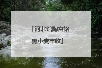 河北馆陶富铬黑小麦丰收