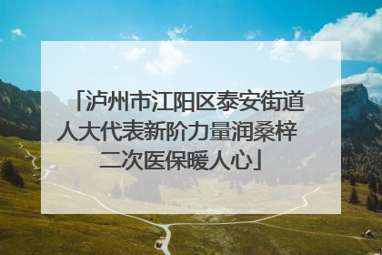 泸州市江阳区泰安街道人大代表新阶力量润桑梓 二次医保暖人心