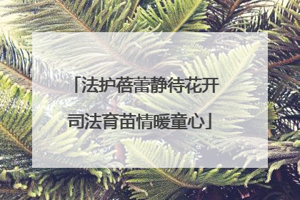 法护蓓蕾静待花开 司法育苗情暖童心