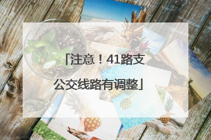 注意！41路支公交线路有调整
