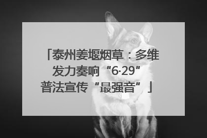 泰州姜堰烟草：多维发力奏响“6·29”普法宣传“最强音”