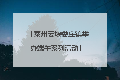 泰州姜堰娄庄镇举办端午系列活动