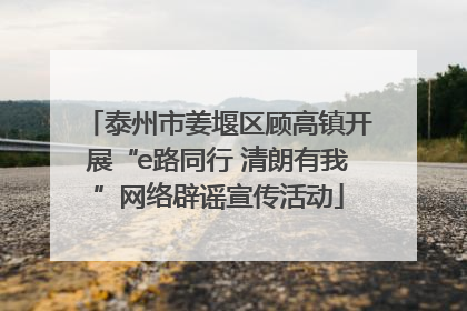 泰州市姜堰区顾高镇开展“e路同行 清朗有我”网络辟谣宣传活动