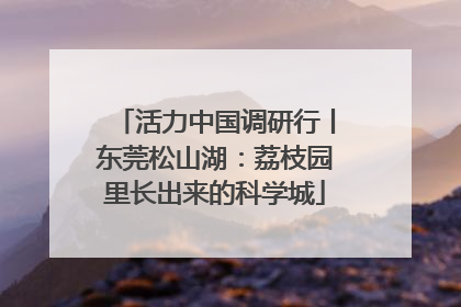 活力中国调研行丨东莞松山湖：荔枝园里长出来的科学城