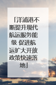 洋浦港不断提升现代航运服务能级 促进航运扩大开放政策快速落地