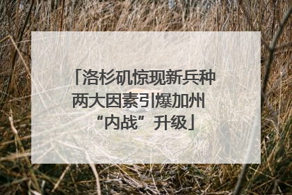 洛杉矶惊现新兵种 两大因素引爆加州“内战”升级