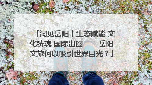 洞见岳阳丨生态赋能 文化铸魂 国际出圈——岳阳文旅何以吸引世界目光？
