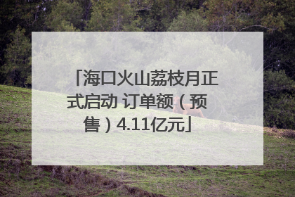 海口火山荔枝月正式启动 订单额（预售）4.11亿元