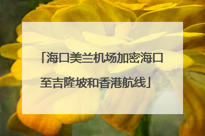 海口美兰机场加密海口至吉隆坡和香港航线