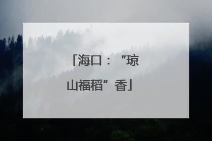 海口：“琼山福稻”香
