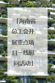 海南省总工会开展重点项目一线慰问活动