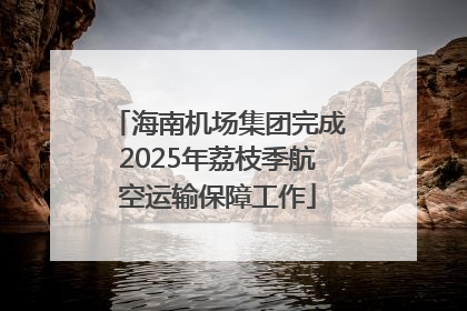 海南机场集团完成2025年荔枝季航空运输保障工作