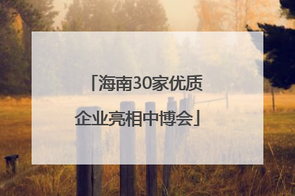 海南30家优质企业亮相中博会