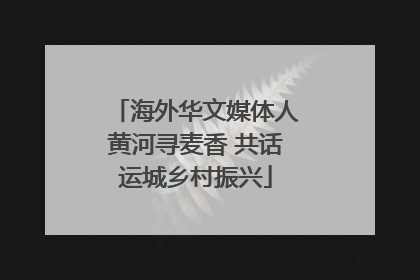 海外华文媒体人黄河寻麦香 共话运城乡村振兴