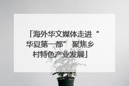 海外华文媒体走进“华夏第一都” 聚焦乡村特色产业发展