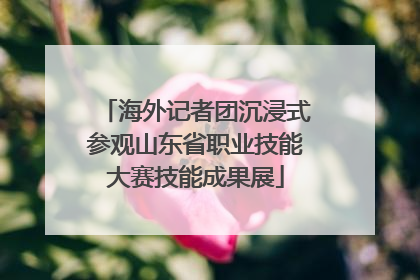 海外记者团沉浸式参观山东省职业技能大赛技能成果展