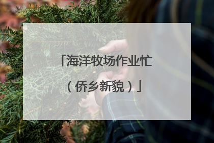 海洋牧场作业忙（侨乡新貌）