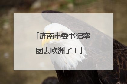 济南市委书记率团去欧洲了！