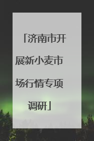 济南市开展新小麦市场行情专项调研