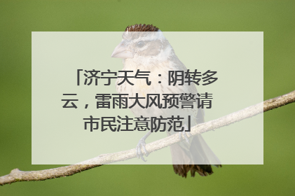 济宁天气：阴转多云，雷雨大风预警请市民注意防范