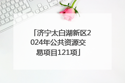 济宁太白湖新区2024年公共资源交易项目121项