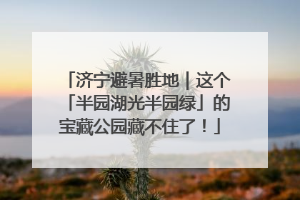 济宁避暑胜地｜这个「半园湖光半园绿」的宝藏公园藏不住了！