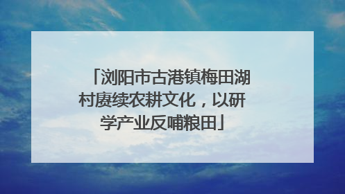 浏阳市古港镇梅田湖村赓续农耕文化，以研学产业反哺粮田