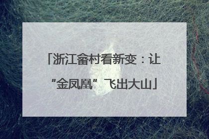 浙江畲村看新变：让“金凤凰”飞出大山