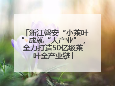 浙江磐安“小茶叶”成就“大产业”，全力打造50亿级茶叶全产业链