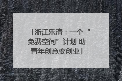 浙江乐清：一个“免费空间”计划 助青年创意变创业