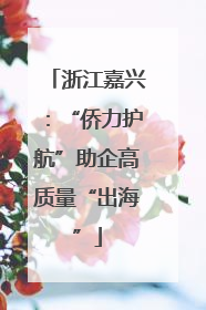 浙江嘉兴：“侨力护航”助企高质量“出海”