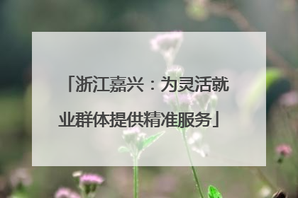 浙江嘉兴：为灵活就业群体提供精准服务