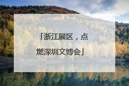 浙江展区，点燃深圳文博会