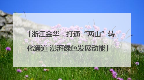浙江金华：打通“两山”转化通道 澎湃绿色发展动能