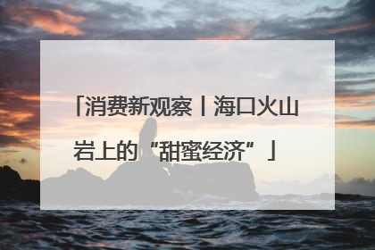 消费新观察丨海口火山岩上的“甜蜜经济”
