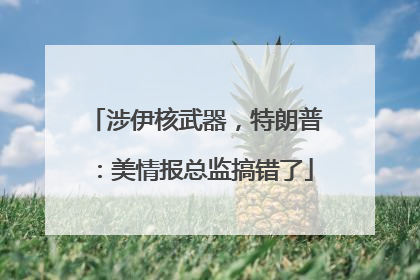 涉伊核武器，特朗普：美情报总监搞错了