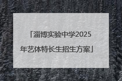 淄博实验中学2025年艺体特长生招生方案
