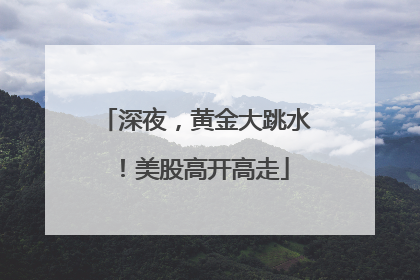 深夜，黄金大跳水！美股高开高走