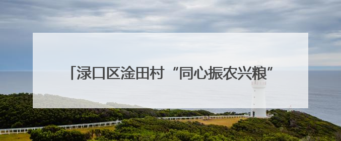 渌口区淦田村“同心振农兴粮”大赛上演农耕“速度与激情”