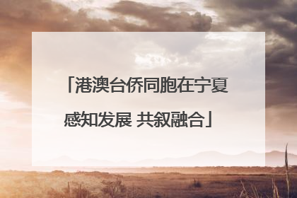 港澳台侨同胞在宁夏感知发展 共叙融合
