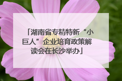 湖南省专精特新“小巨人”企业培育政策解读会在长沙举办