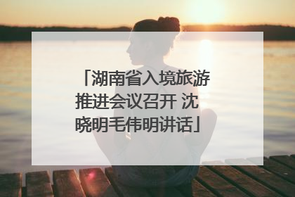 湖南省入境旅游推进会议召开 沈晓明毛伟明讲话