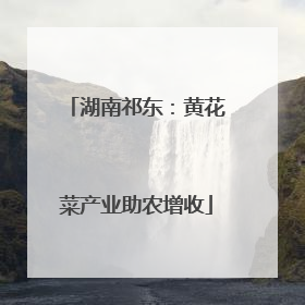 湖南祁东：黄花菜产业助农增收