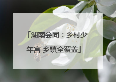 湖南会同：乡村少年宫 乡镇全覆盖