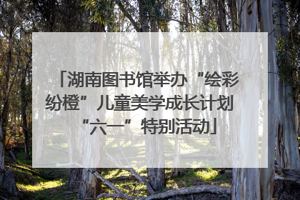湖南图书馆举办“绘彩纷橙”儿童美学成长计划“六一”特别活动