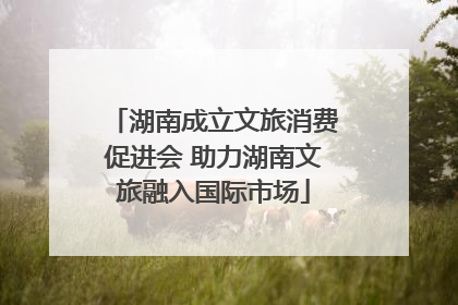 湖南成立文旅消费促进会 助力湖南文旅融入国际市场