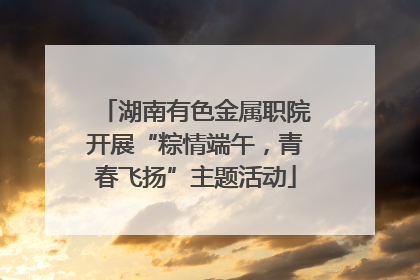 湖南有色金属职院开展“粽情端午，青春飞扬”主题活动