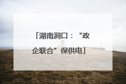 湖南洞口：“政企联合”保供电