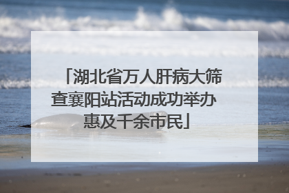 湖北省万人肝病大筛查襄阳站活动成功举办 惠及千余市民